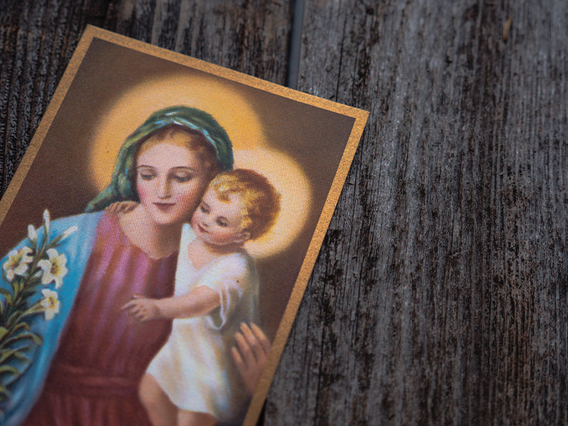 Mary Day by Day: Marian Meditations for Every Day