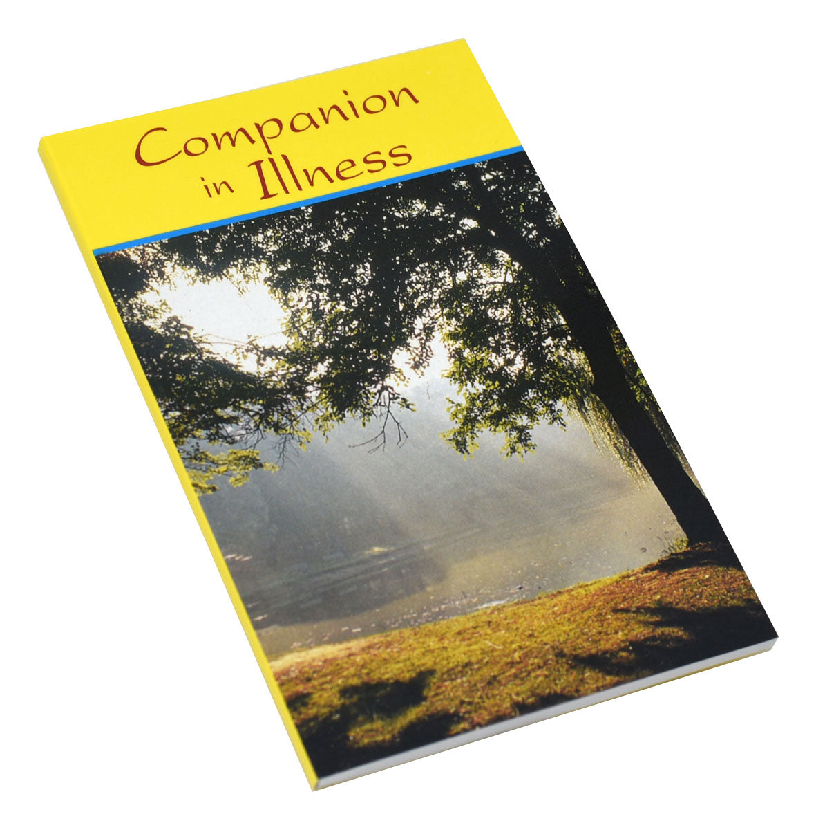 Companion In Illness