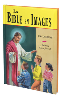 Bible En Images (French)