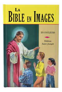 Bible En Images (French)
