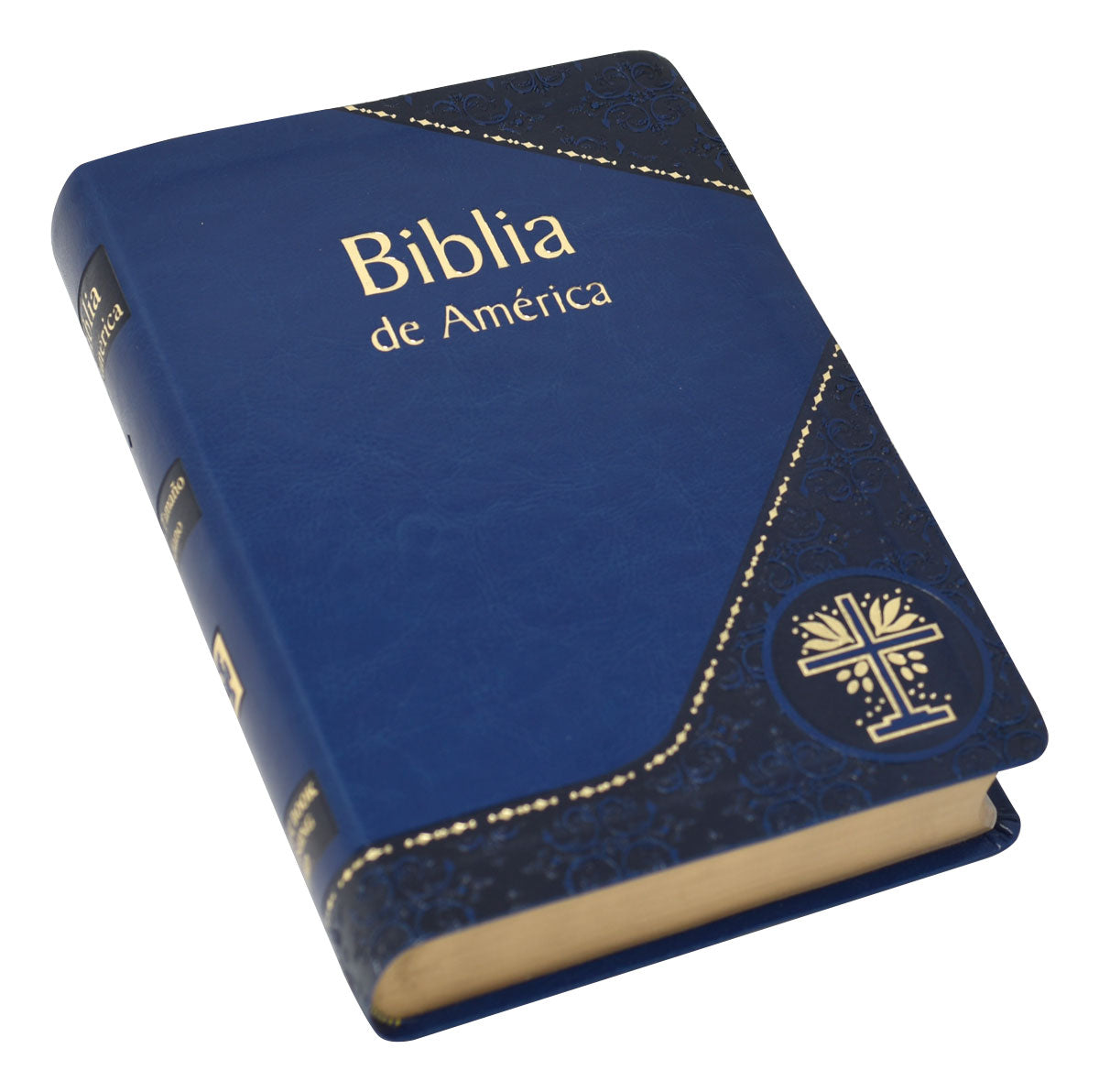 Biblia de America