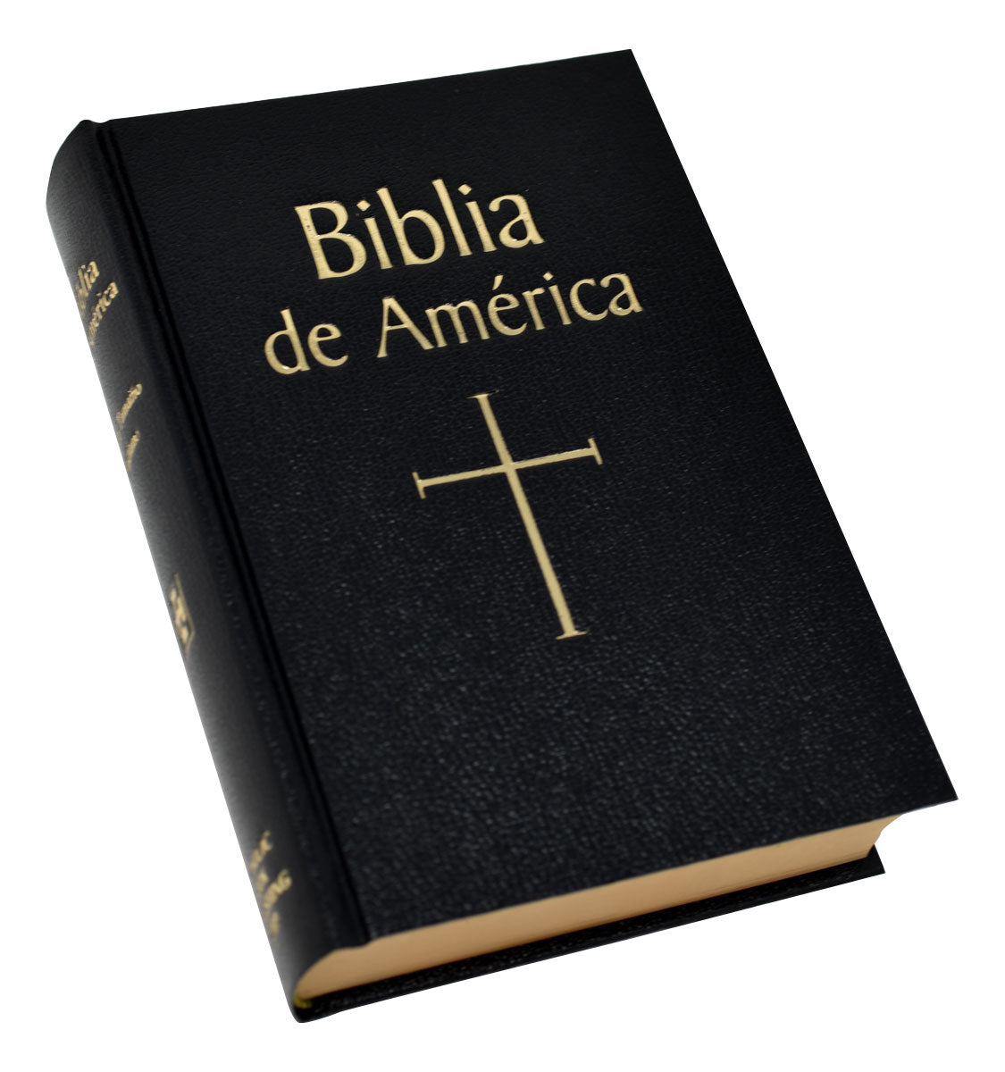 Biblia de America