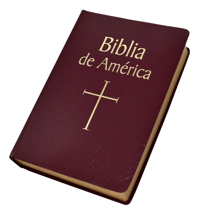 Biblia de America