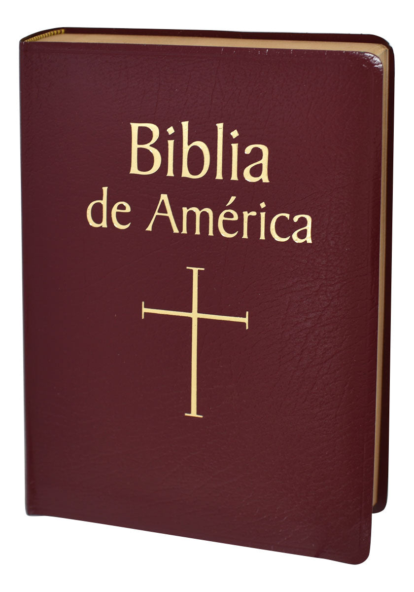 Biblia de America