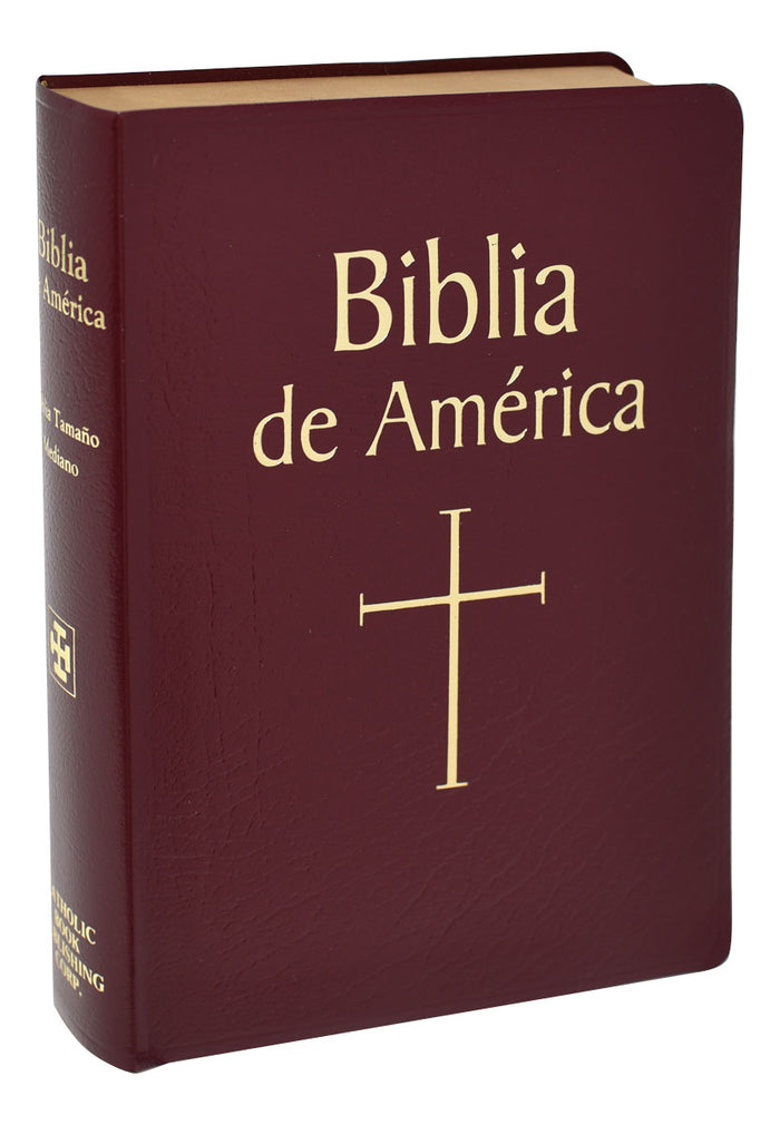 Biblia de America