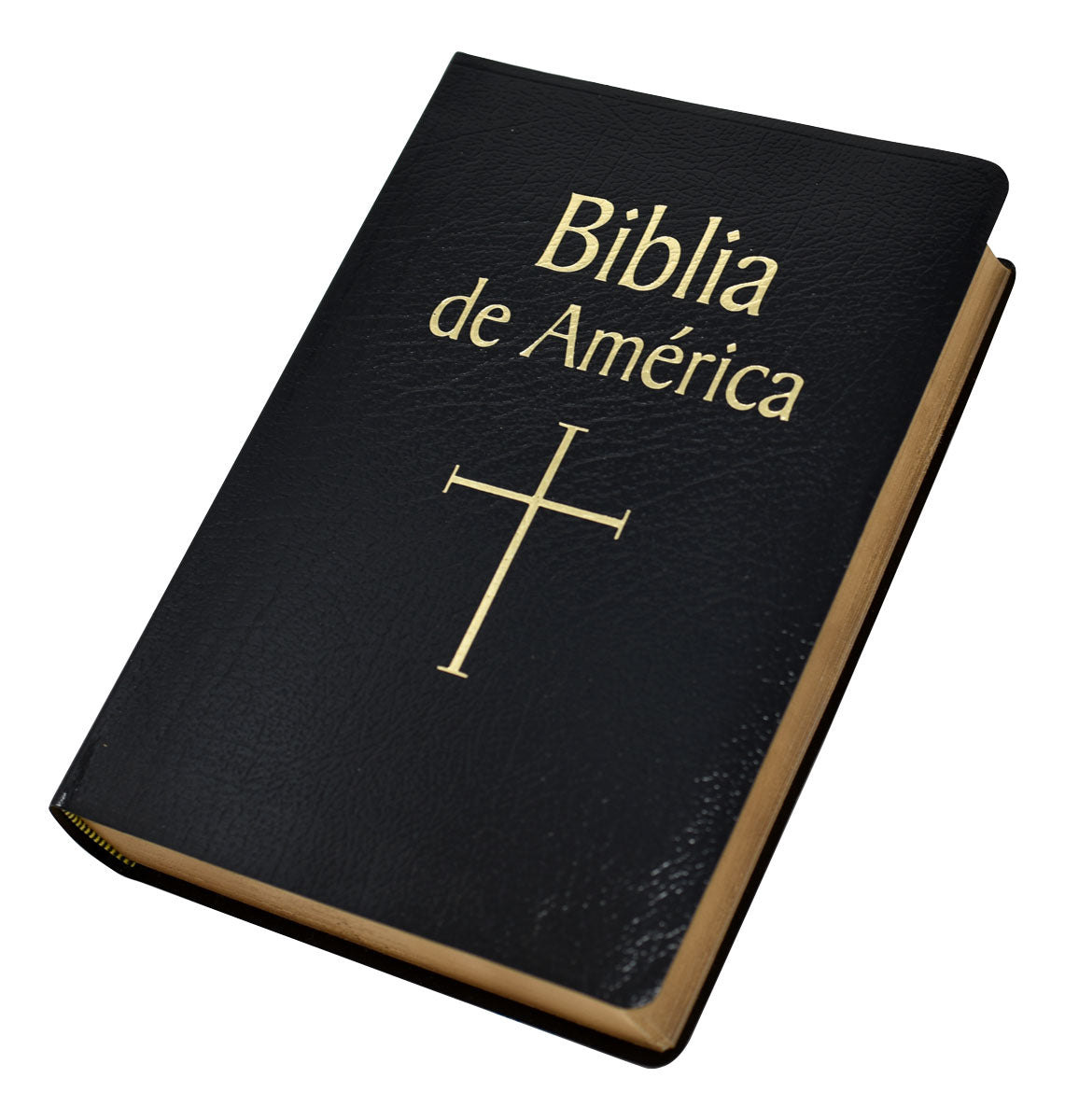 Biblia de America