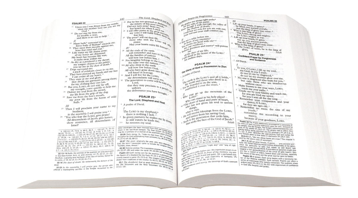 St. Joseph New American Bible Full Size