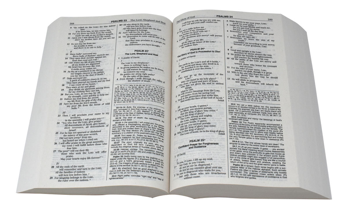 NABRE Student Edition Bible