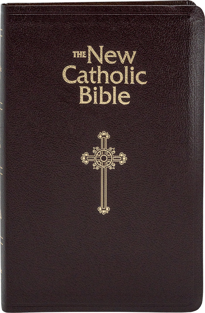 NCB Deluxe Gift Bible - Indexed
