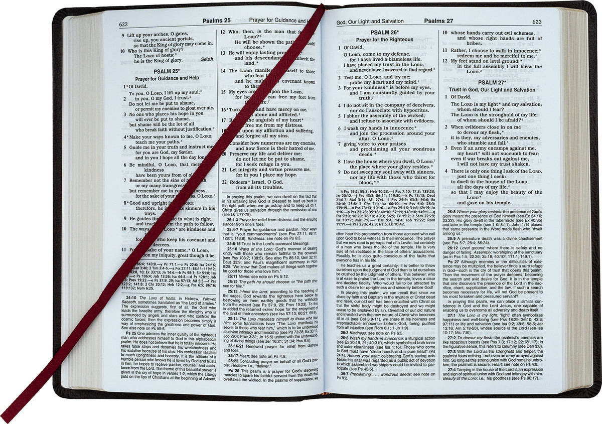 NCB Deluxe Gift Bible