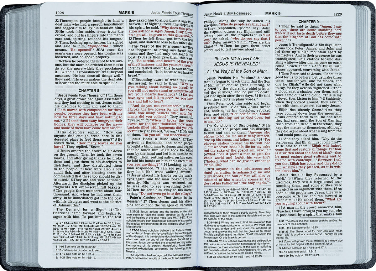 NCB Gift & Award Bible