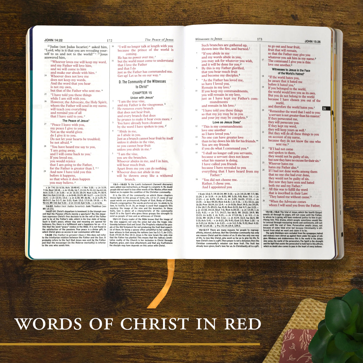 St. Joseph New Catholic Bible for Youth Personal Size