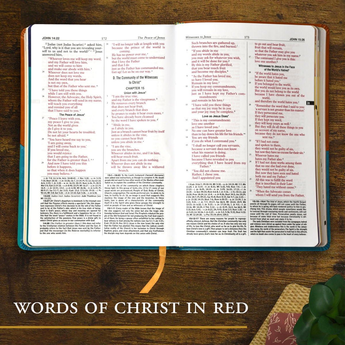 St. Joseph New Catholic Bible for Youth