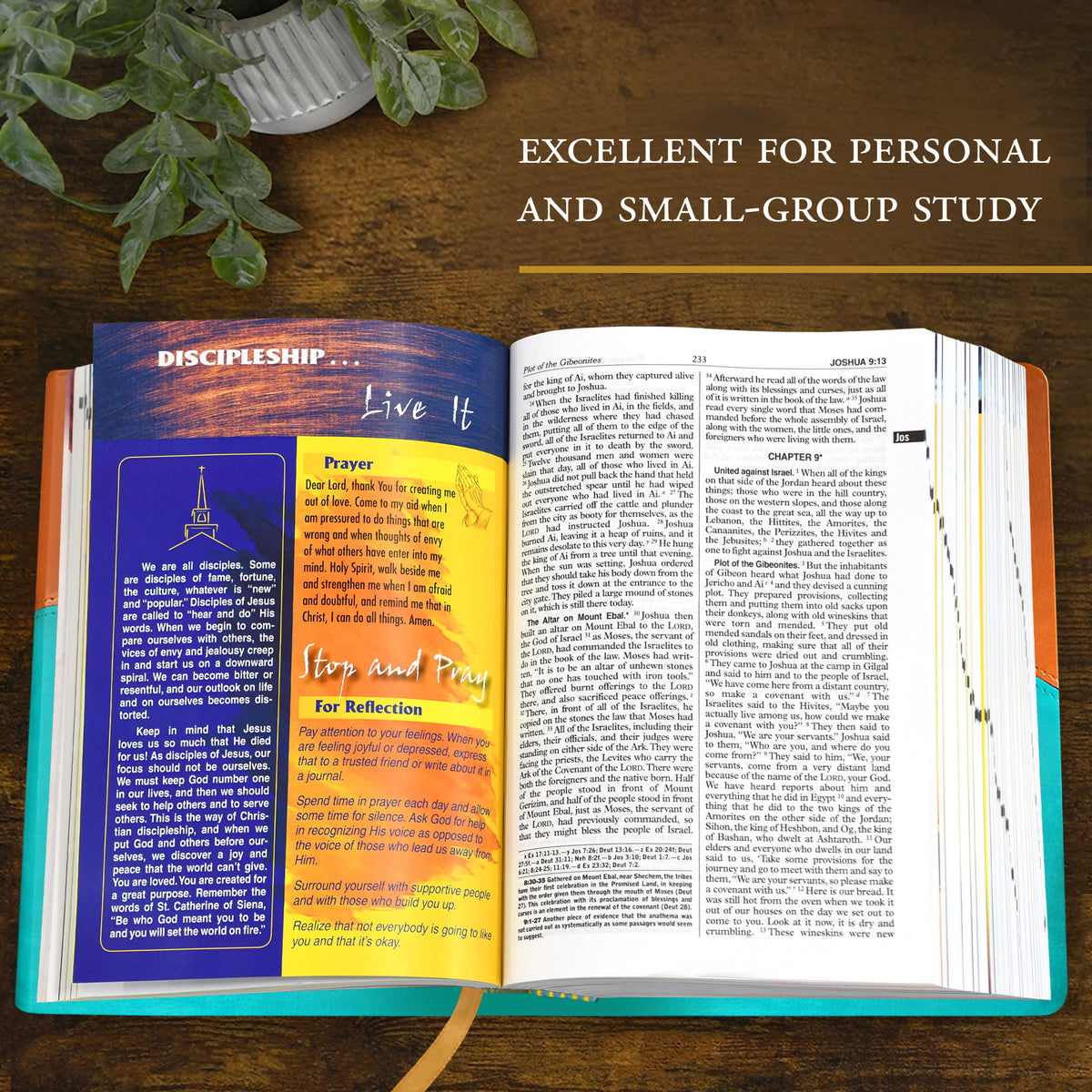 St. Joseph New Catholic Bible for Youth