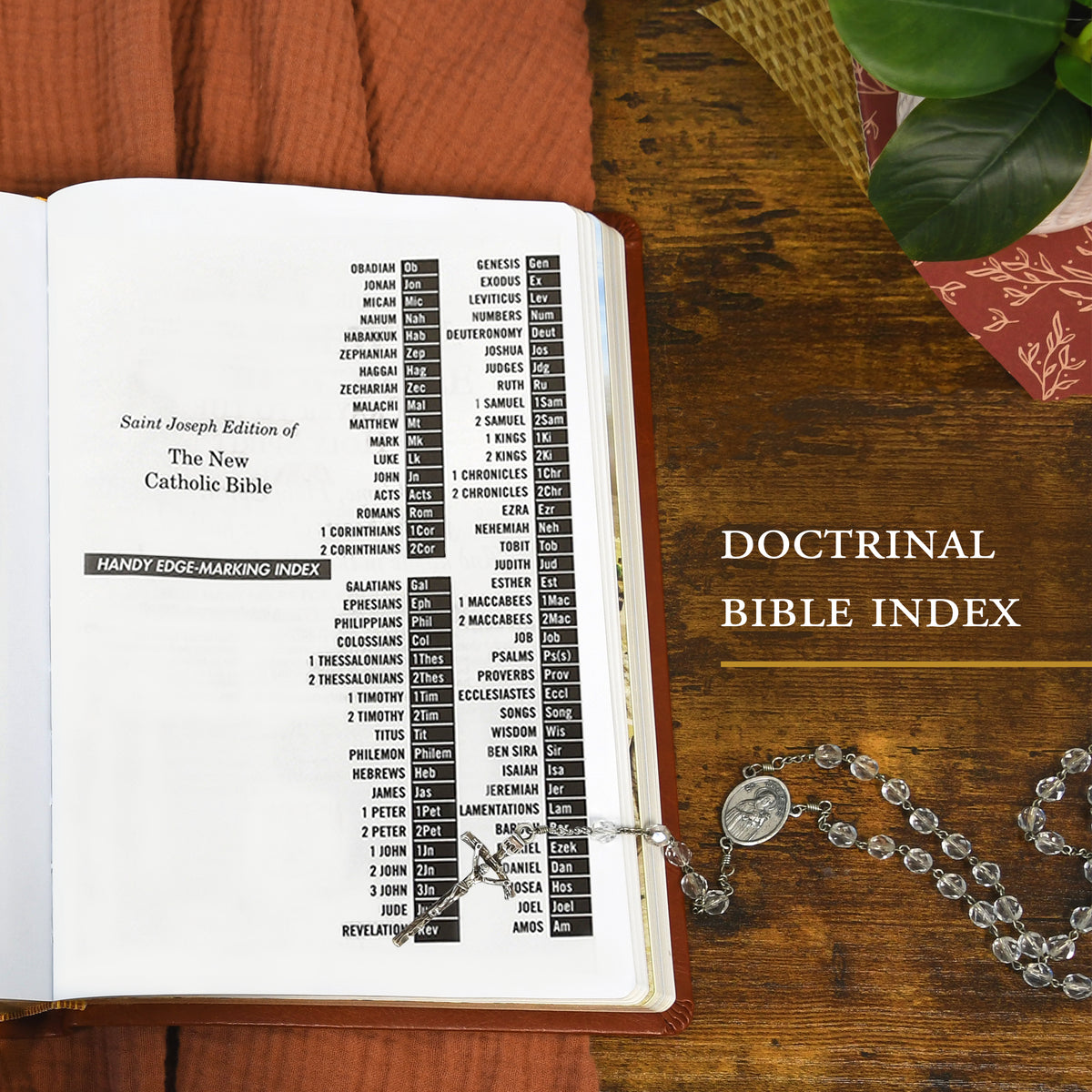 St. Joseph New Catholic Bible for Youth Compact Size