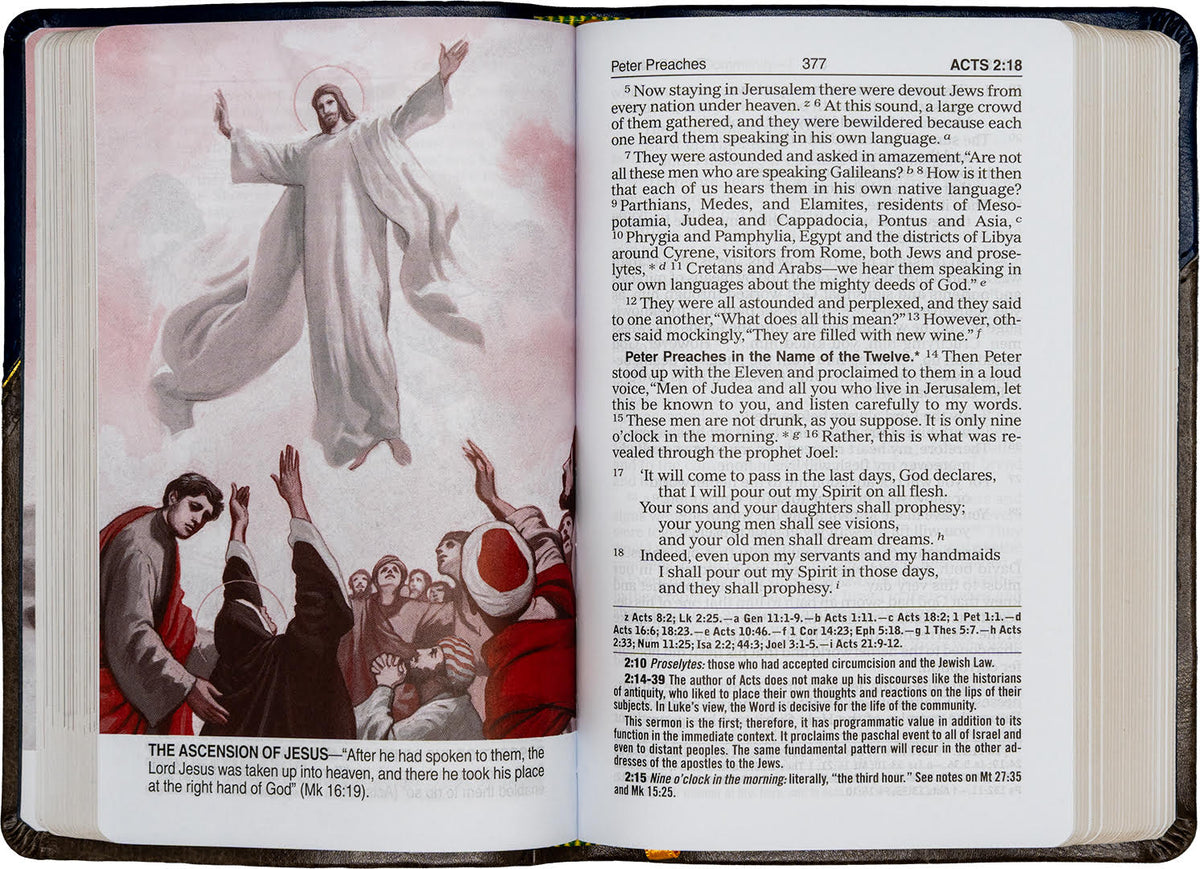 St. Joseph New Catholic Bible New Testament and Psalms