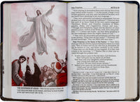 St. Joseph New Catholic Bible New Testament and Psalms