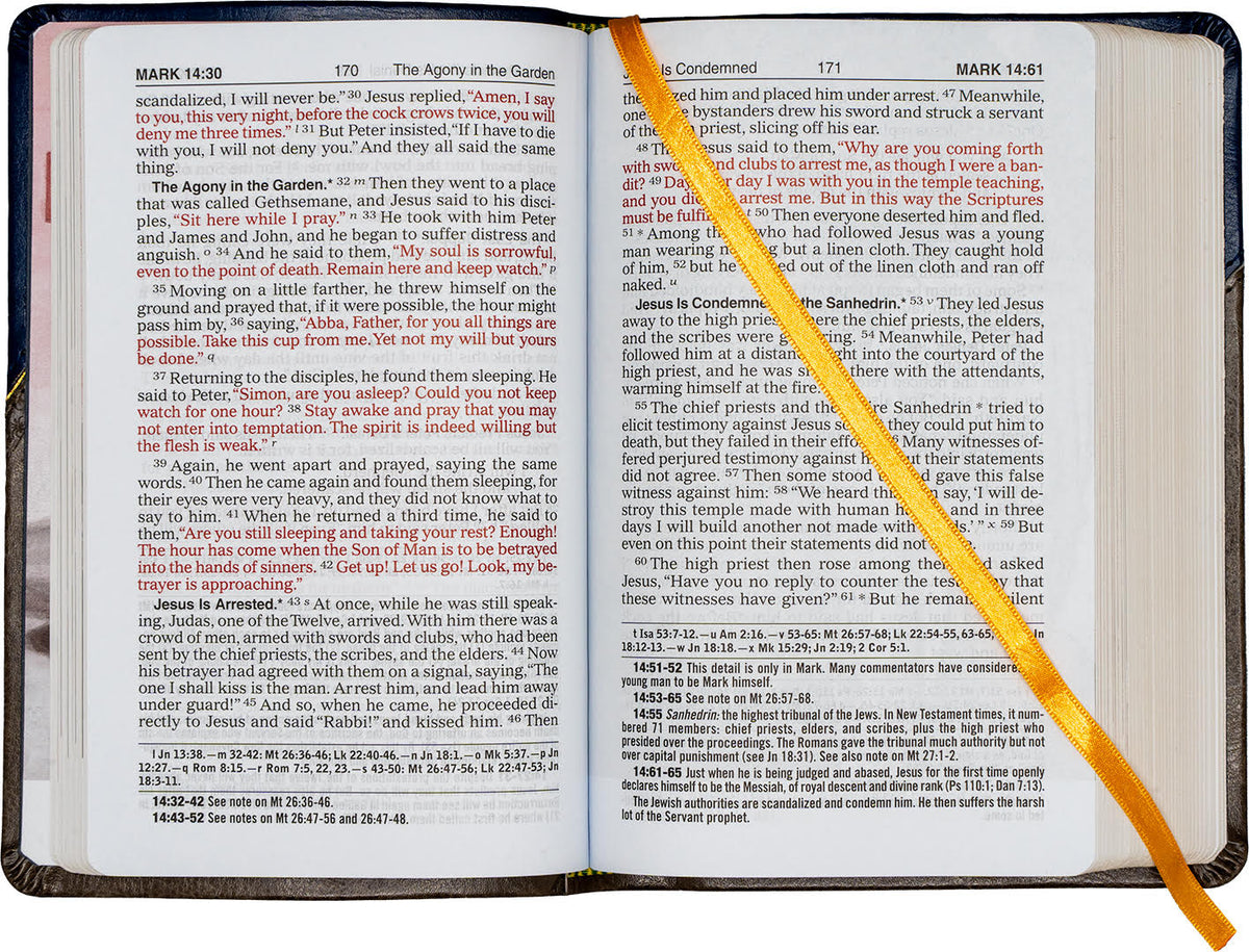 St. Joseph New Catholic Bible New Testament and Psalms