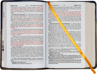 St. Joseph New Catholic Bible New Testament and Psalms