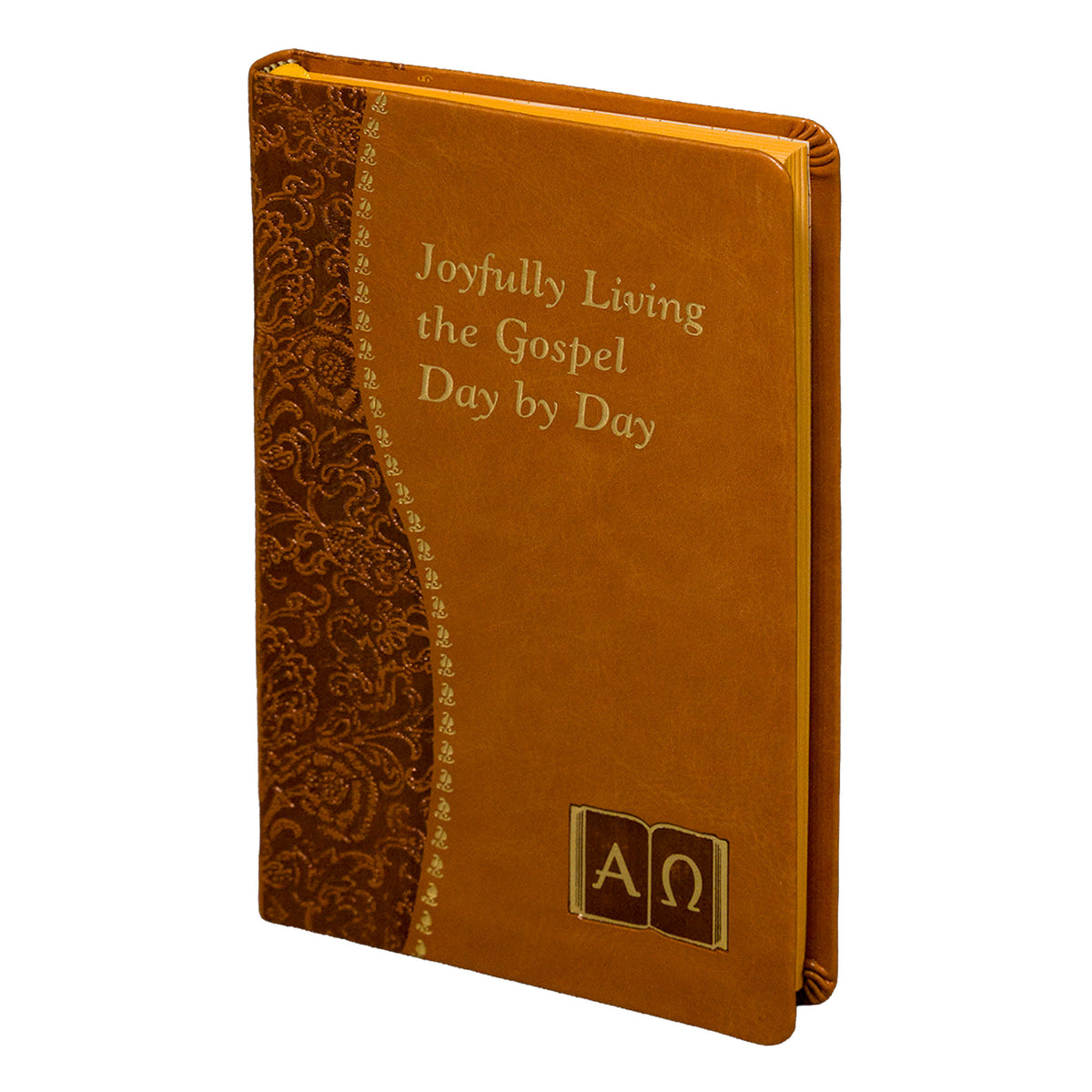 Joyfully Living The Gospel Day By Day