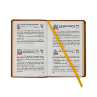 Joyfully Living The Gospel Day By Day