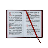 Meditaciones Diarias con el Espiritu Santo