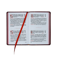 Meditaciones Diarias con el Espiritu Santo