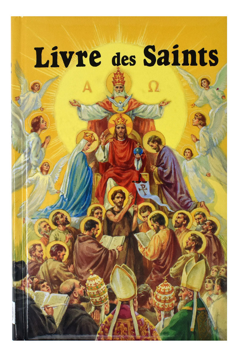 Livre Des Saints En Image