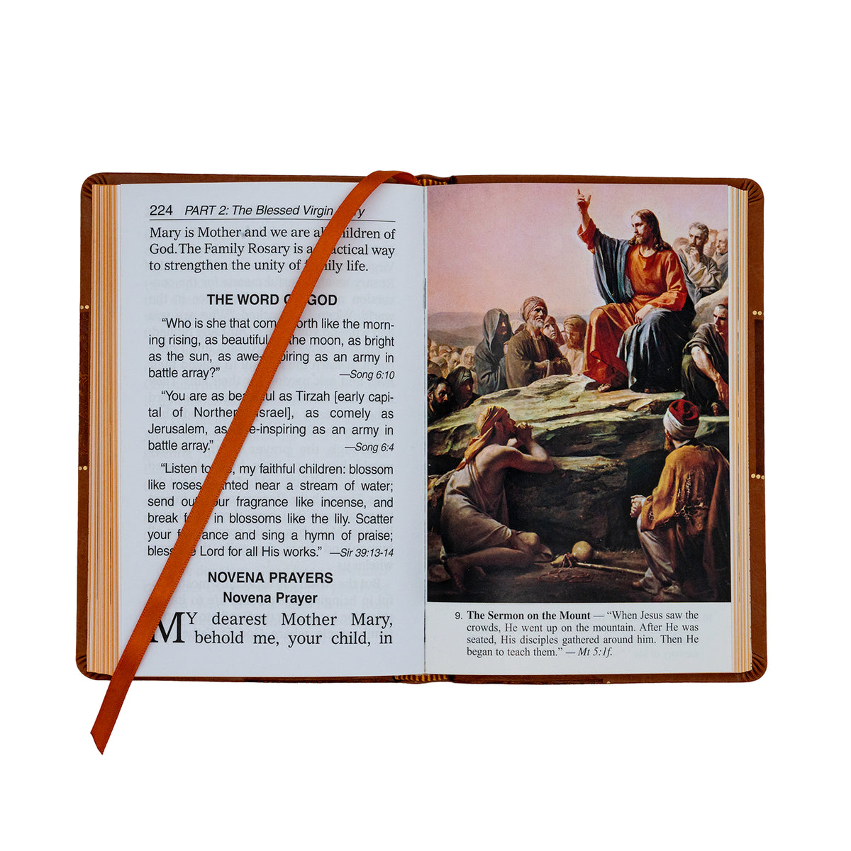 Catholic Book Of Novenas