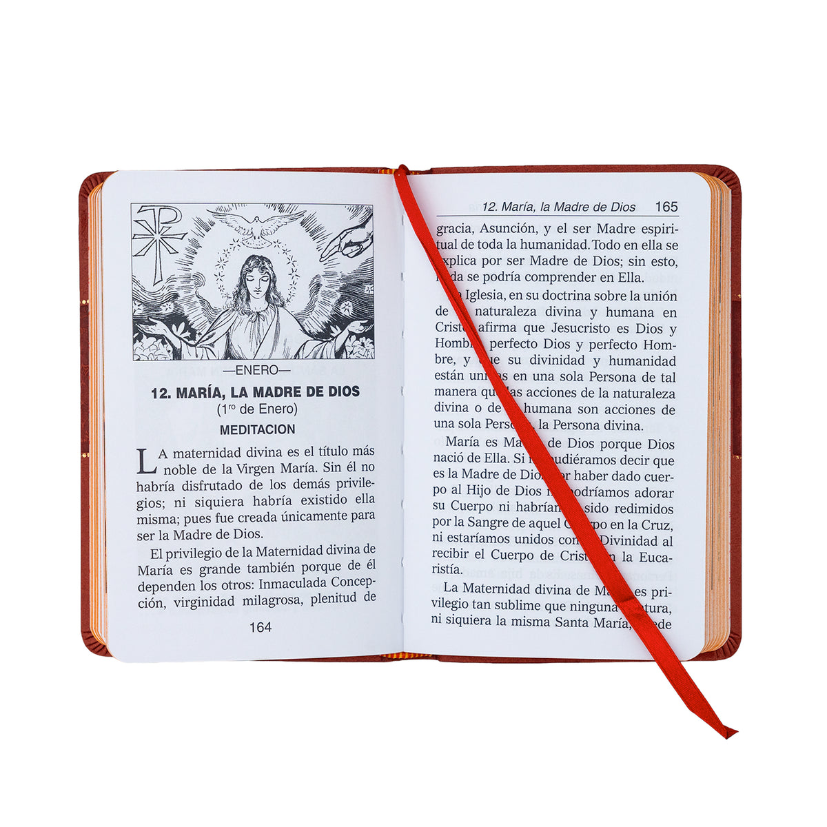 Libro Catolico De Novenas