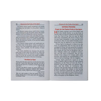 Favorite Novenas To The Holy Spirit