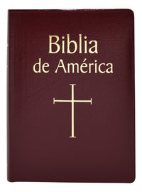 Biblia de America