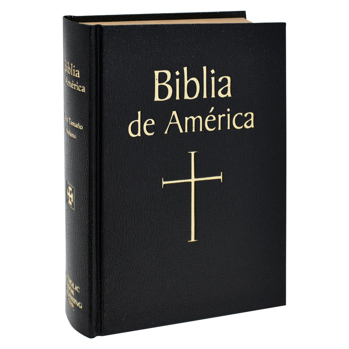 Biblia de America