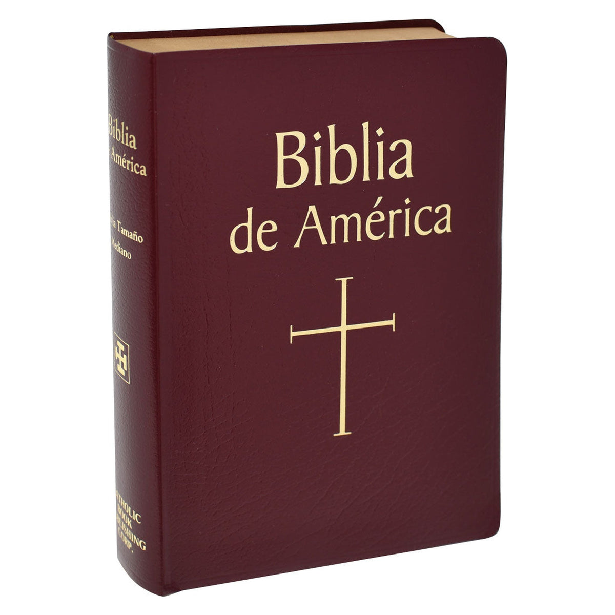 Biblia de America