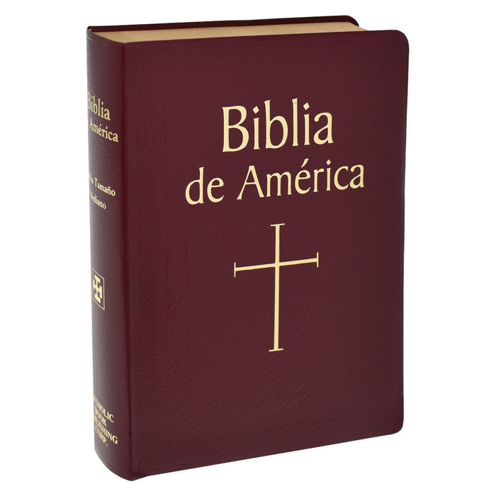 Biblia de America