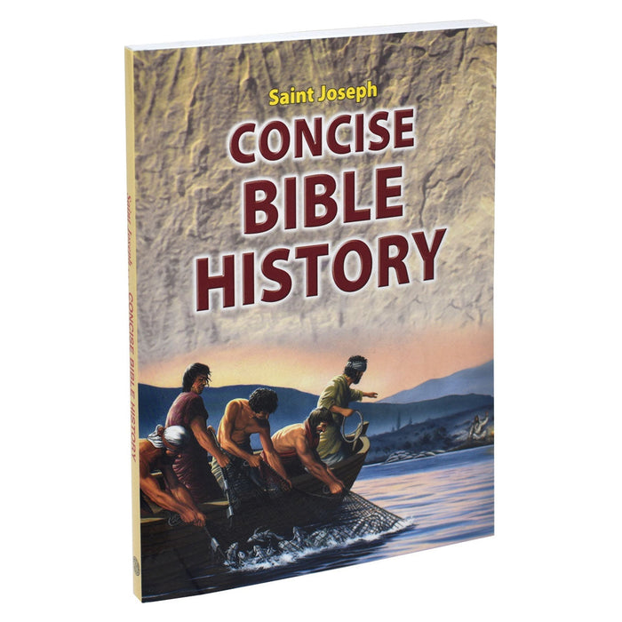 Concise Bible History