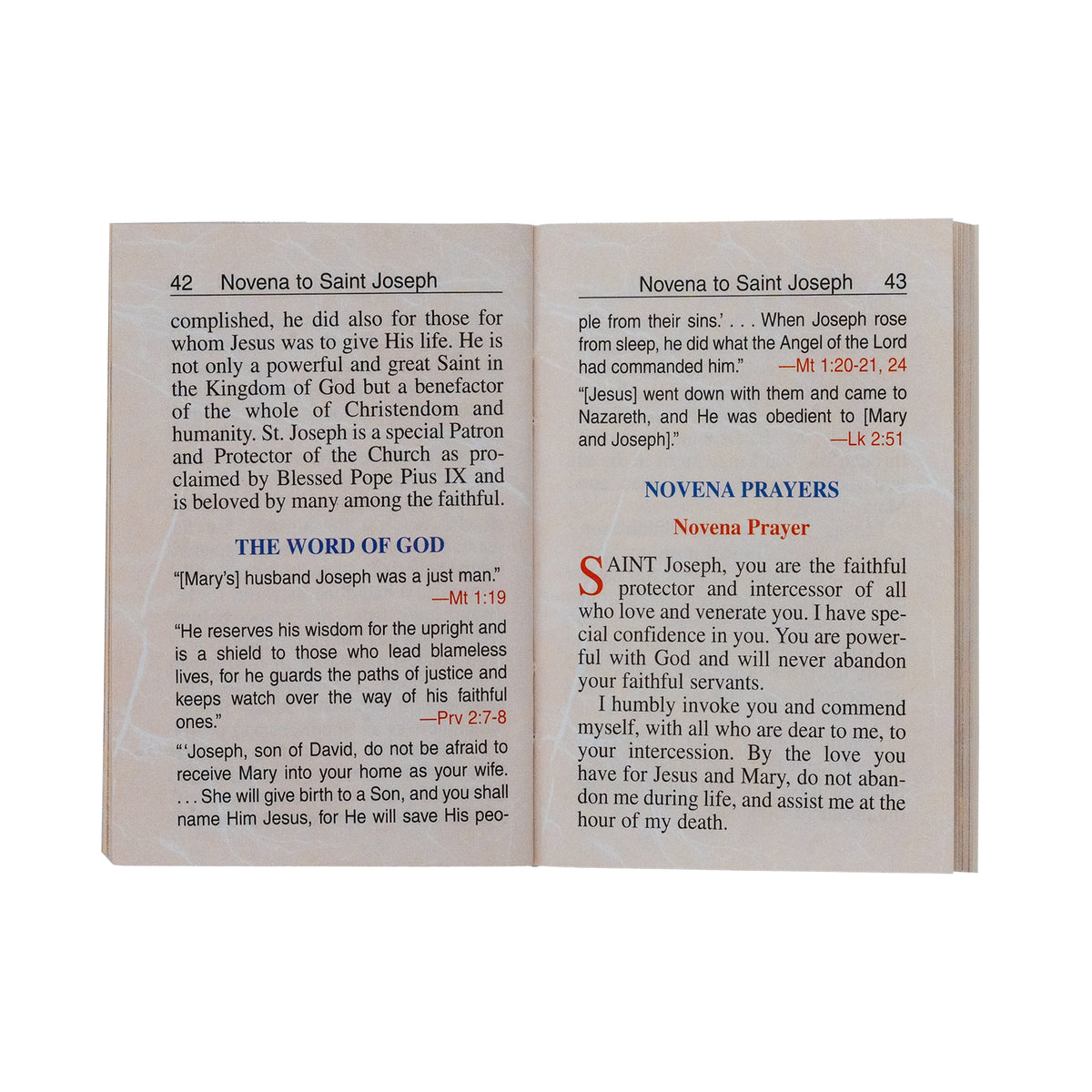 My Pocket Book Of Novenas