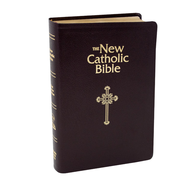 NCB Deluxe Gift Bible