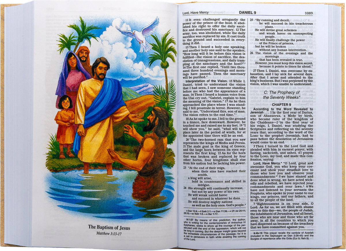 NCB NOAH'S ARK BIBLE