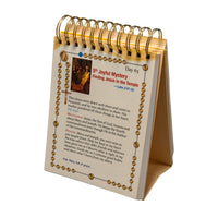 The Illustrated 365 Rosary Day by Day Bead by Bead