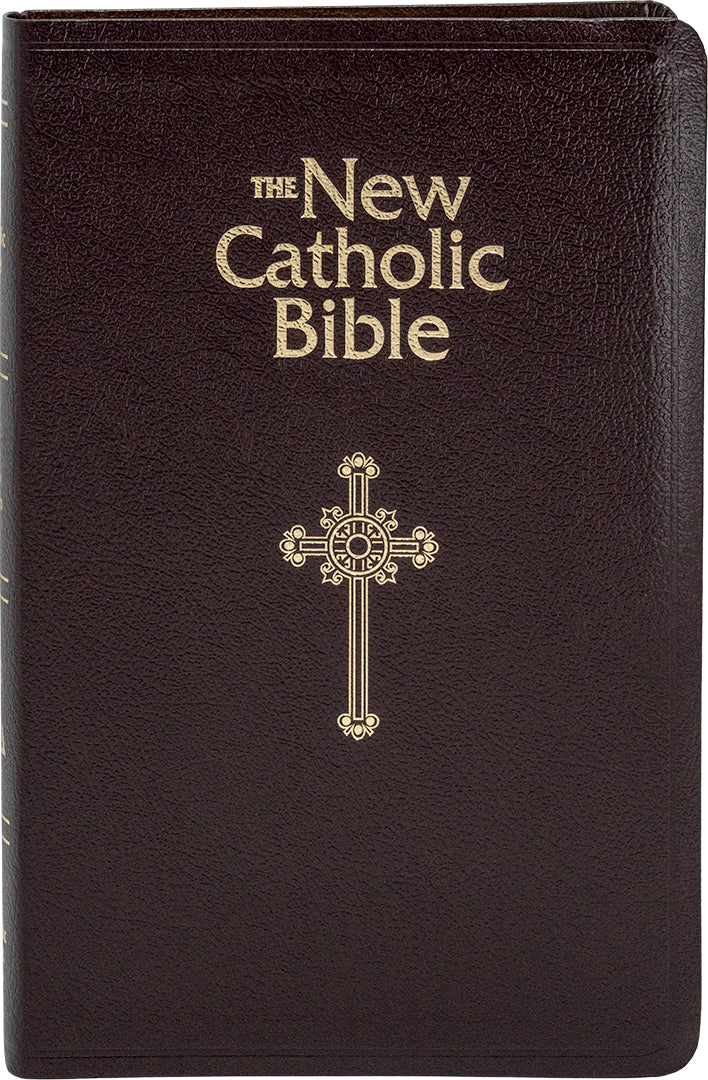 NCB Deluxe Gift Bible - Indexed
