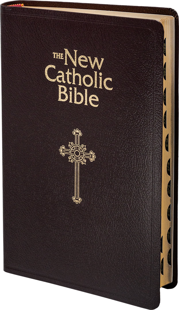 NCB Deluxe Gift Bible - Indexed