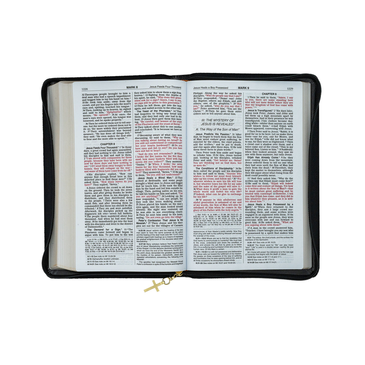 NCB Deluxe Gift Bible