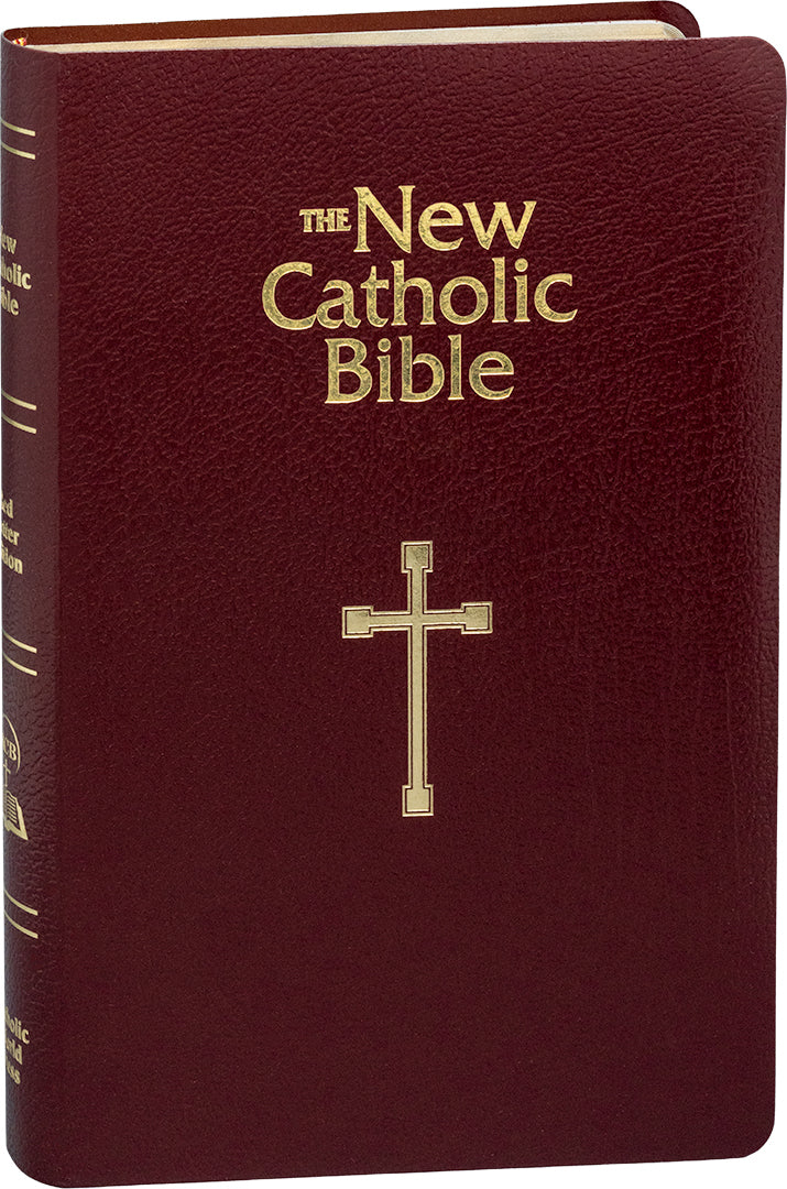 NCB Gift & Award Bible