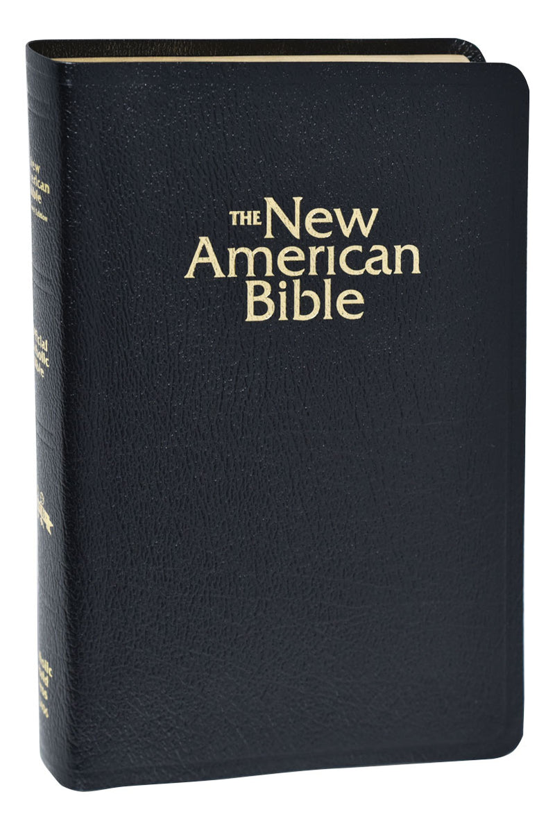 NABRE Deluxe Gift Bible - Indexed