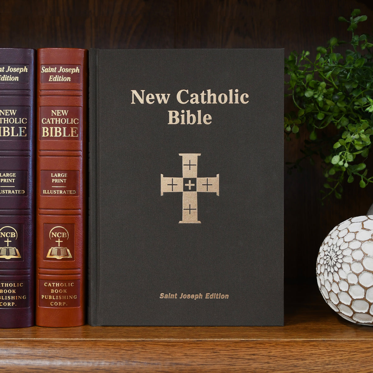 St. Joseph New Catholic Bible (Student Edition-Large Type)