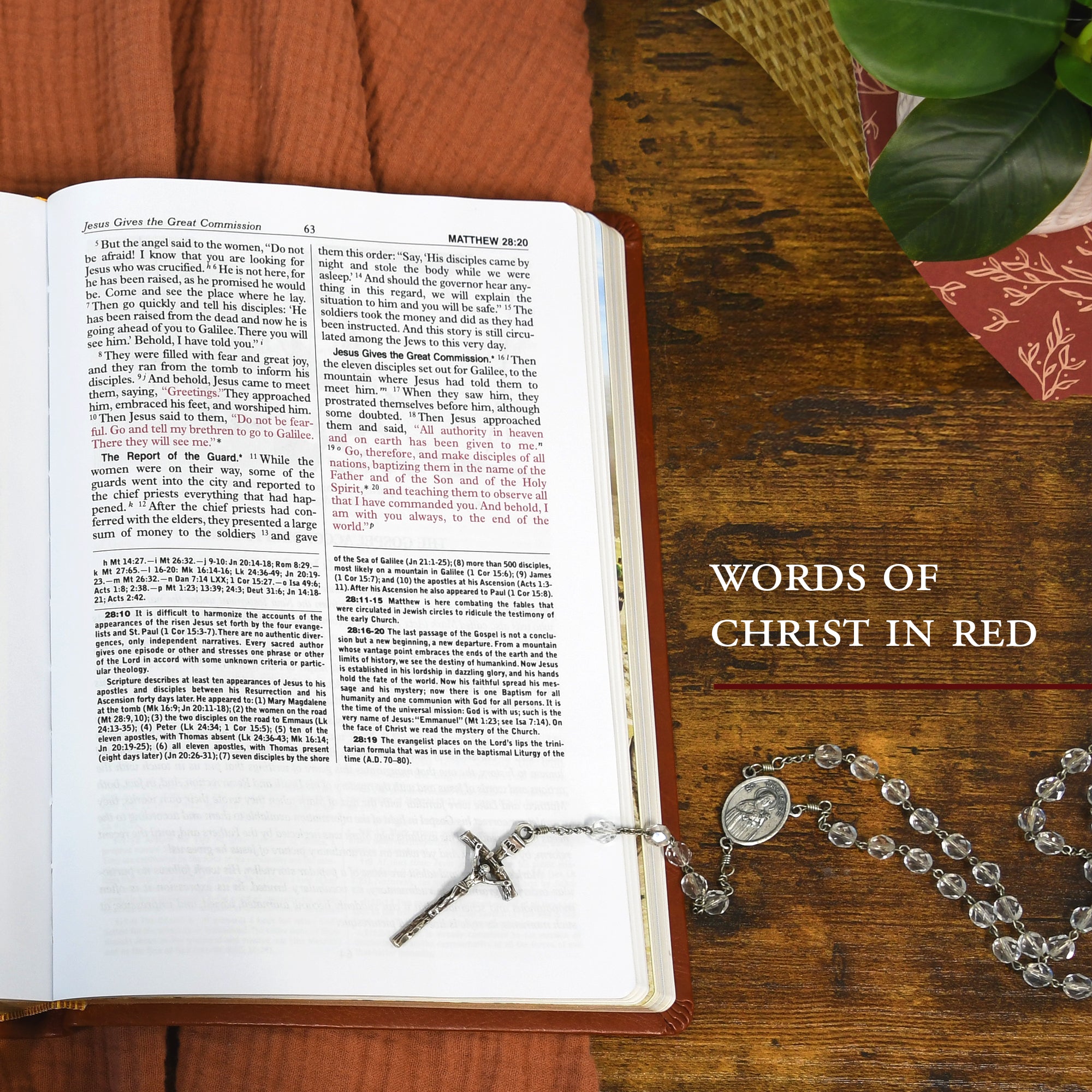 St. Joseph New Catholic Bible (Gift Edition - Large Type