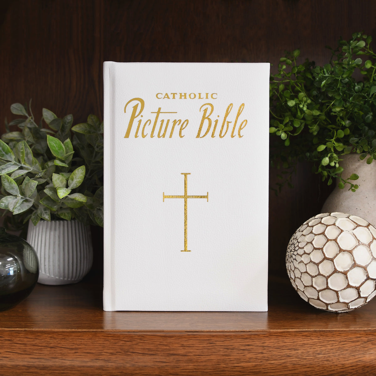 New Catholic Picture Bible