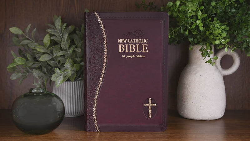 St. Joseph New Catholic Bible (Confirmation Edition)